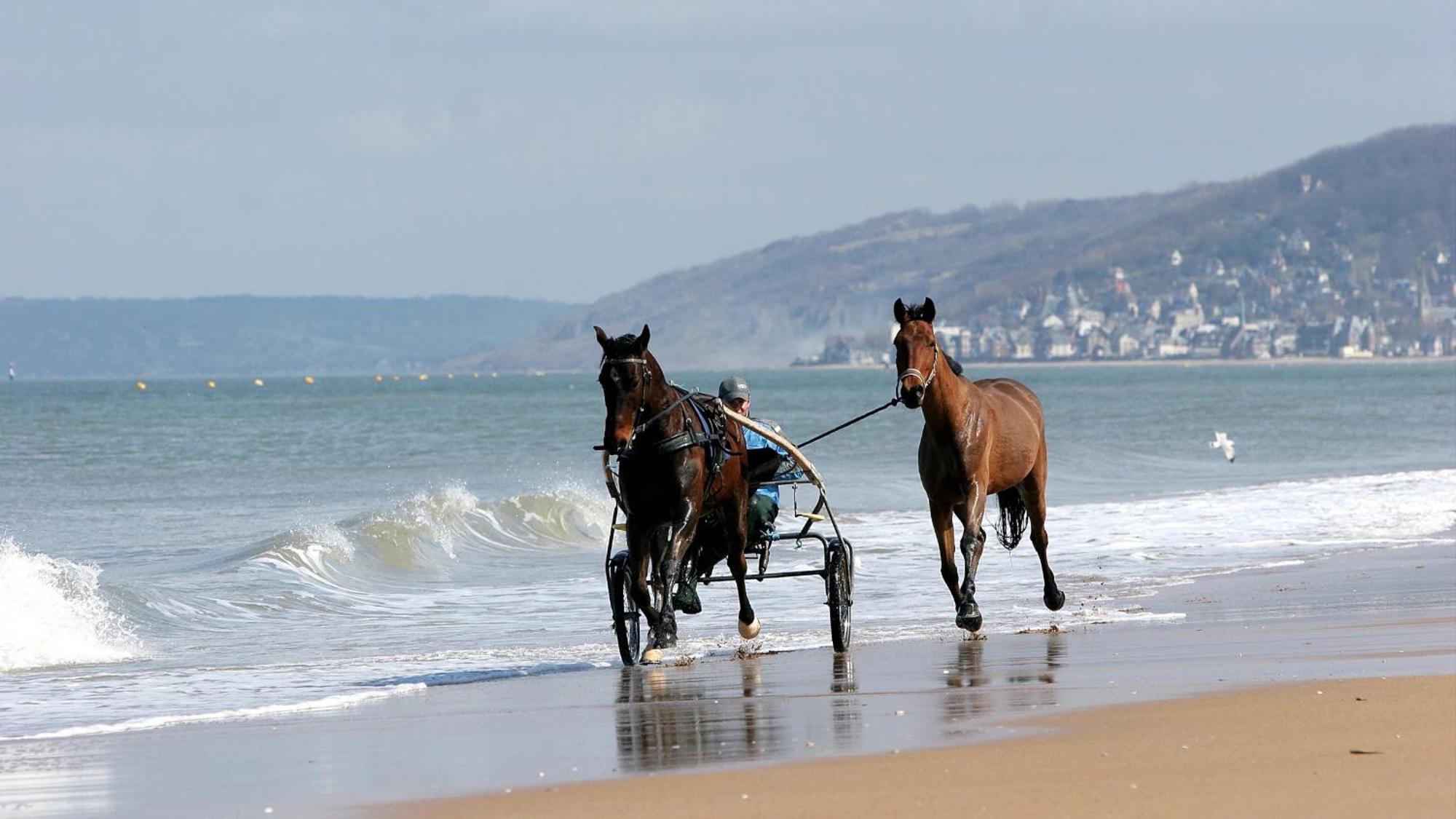 Le Nid De Plage A 100 M De La Mer Cabourg Dış mekan fotoğraf